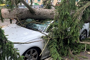 Sturmschaden in Graz