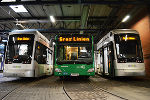 Bus und Straßenbahnen