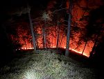 Eine Silvesterrakete war Ursache des Waldbrandes in Semriach. © Foto: BFVGU Eine Silvesterrakete war Ursache des Waldbrandes in Semriach.