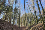 Erhöhte Waldbrandgefahr